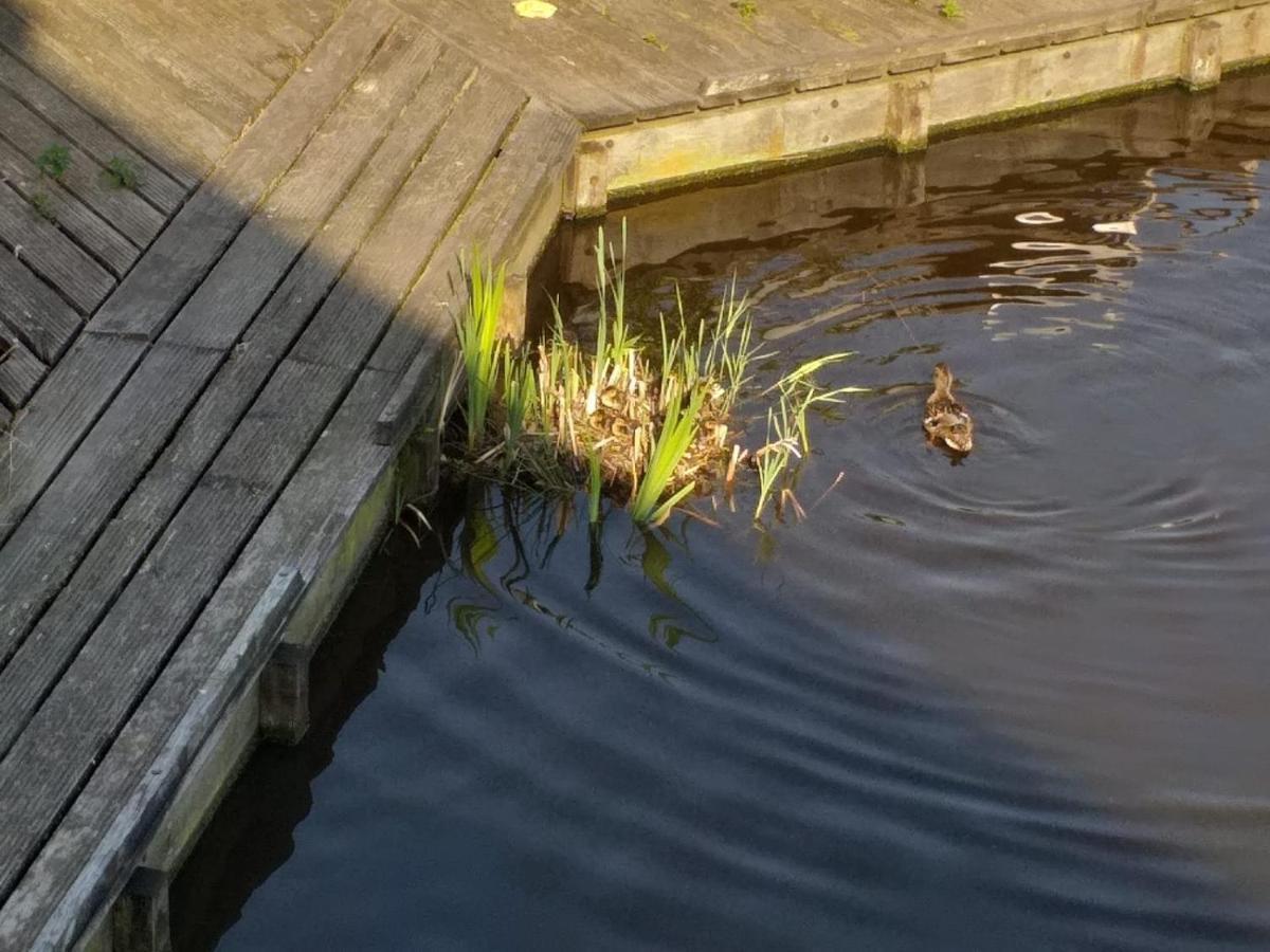 Huisje Aan Het Water, Omgeving Amsterdam Villa Zaandam Luaran gambar